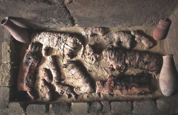 В Египте обнаружена мумия с лицом гуманоида
